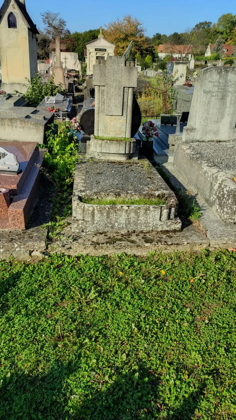 Dépôts et traces de végétation visibles sur la stèle, les bordures et les marches du monument.
